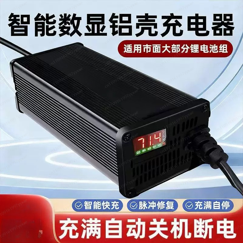 48V 60V 72V Smart LiFePO4 Li-i - 72V 15A Fast Charger recension och pris